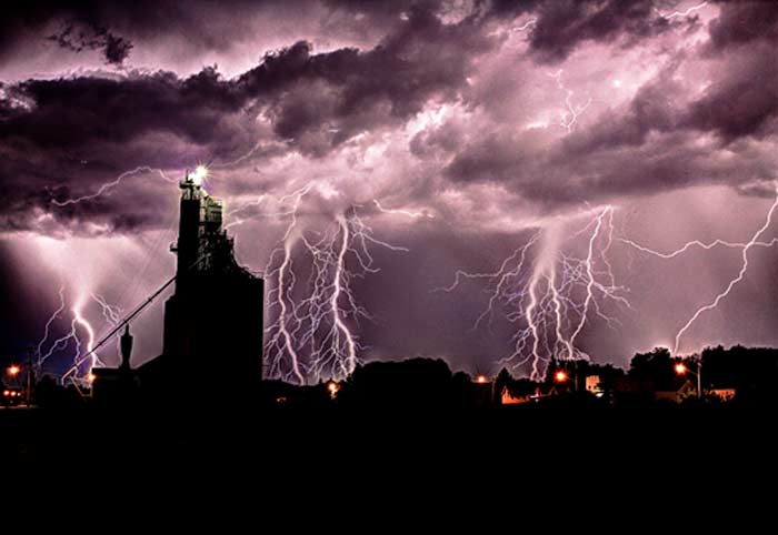 Granary Lightening Strike millennial buzz