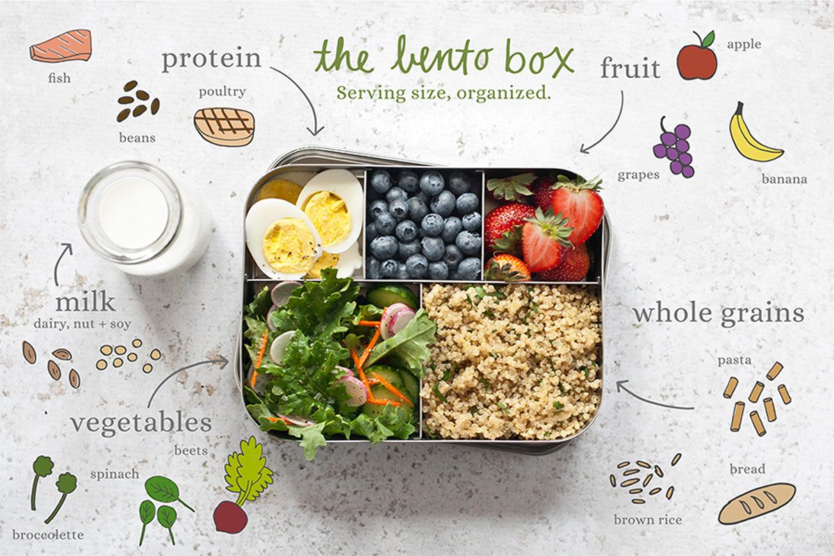 What Is The Importance Of A Healthy Lunch Box?