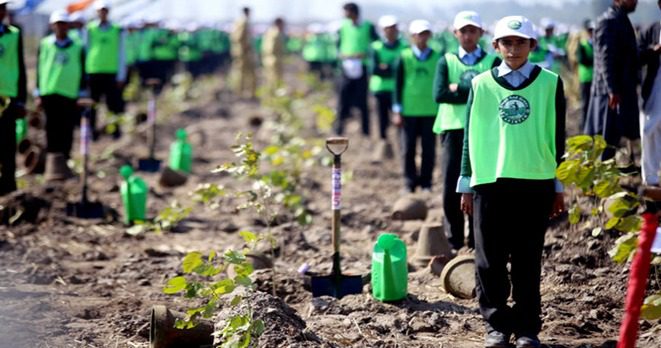  Clean Green Pakistan: Plant for Pakistan